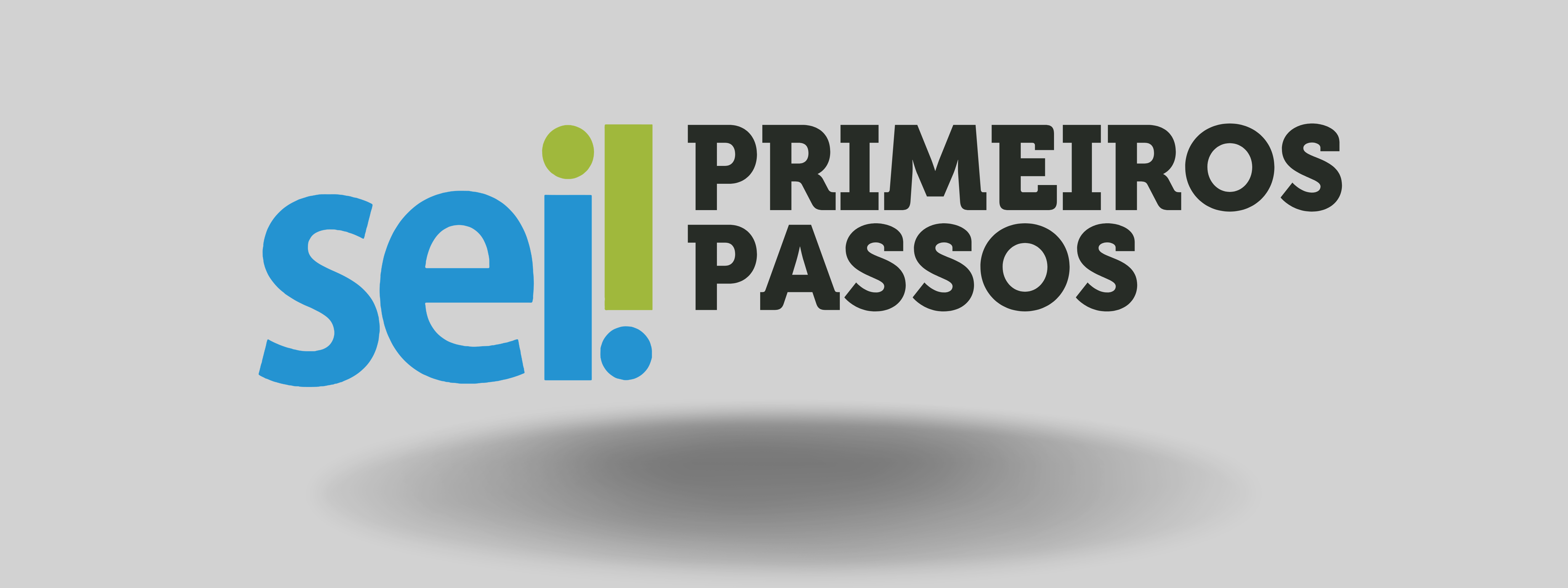 Primeiros passos