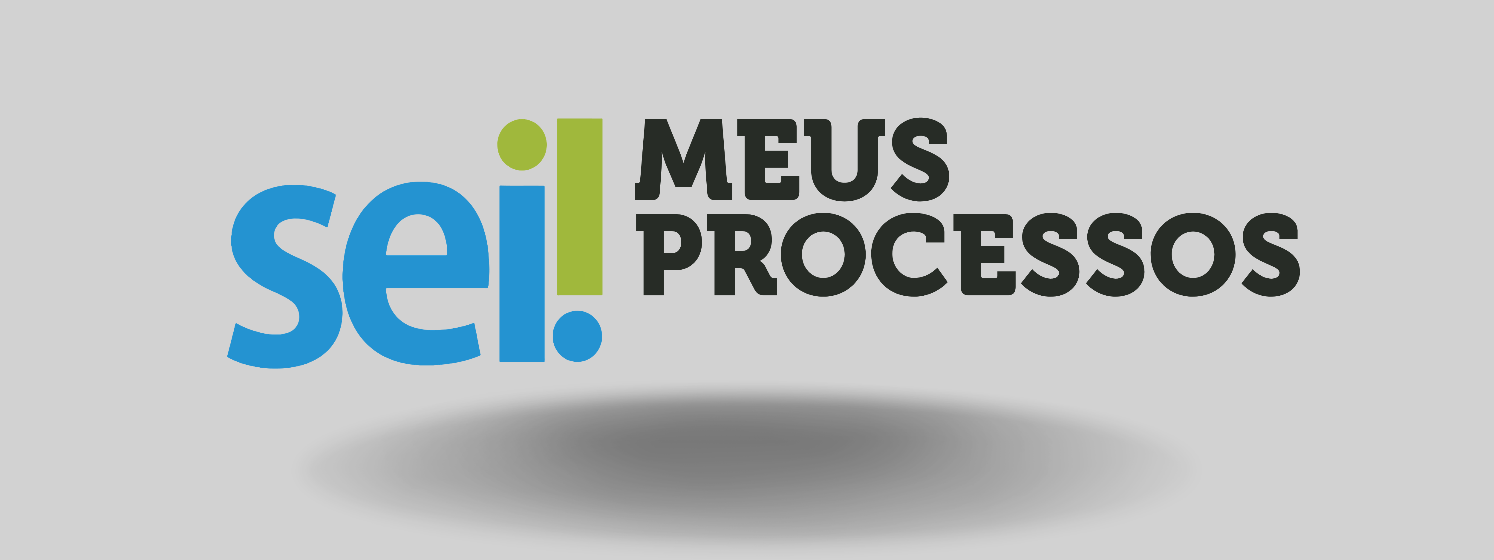 Como encontrar meus processos 