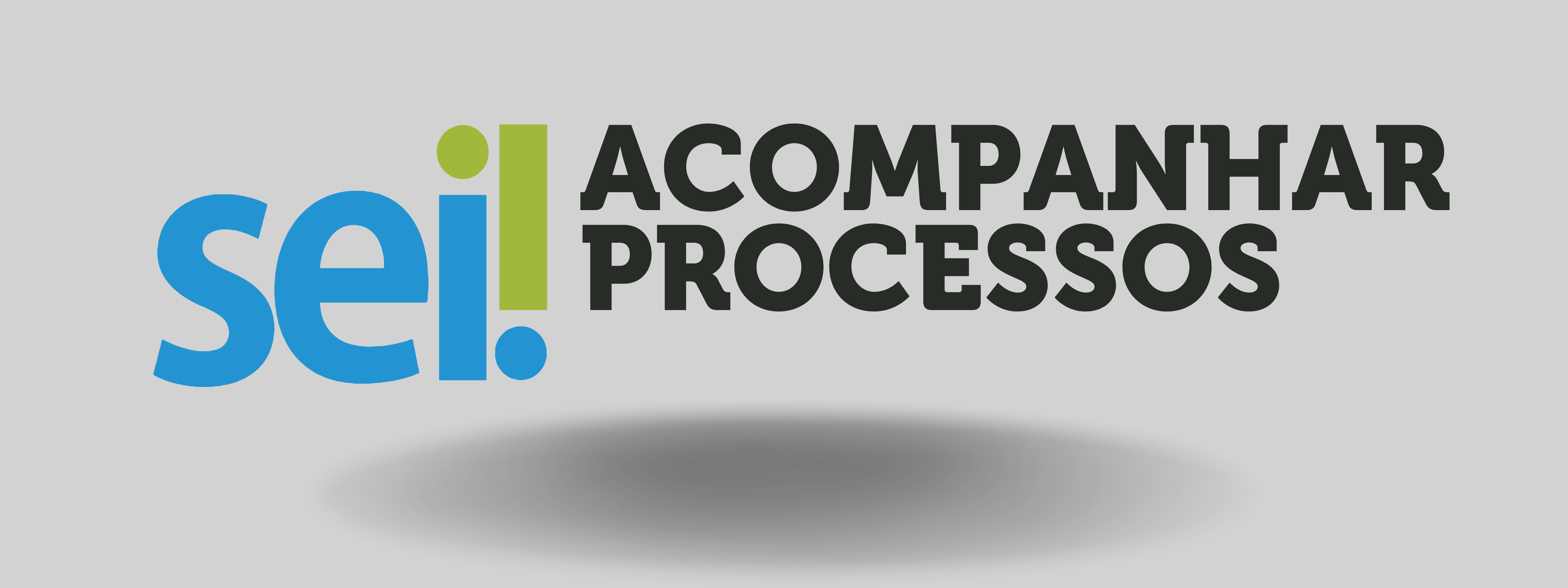 Como acompanhar meu processo