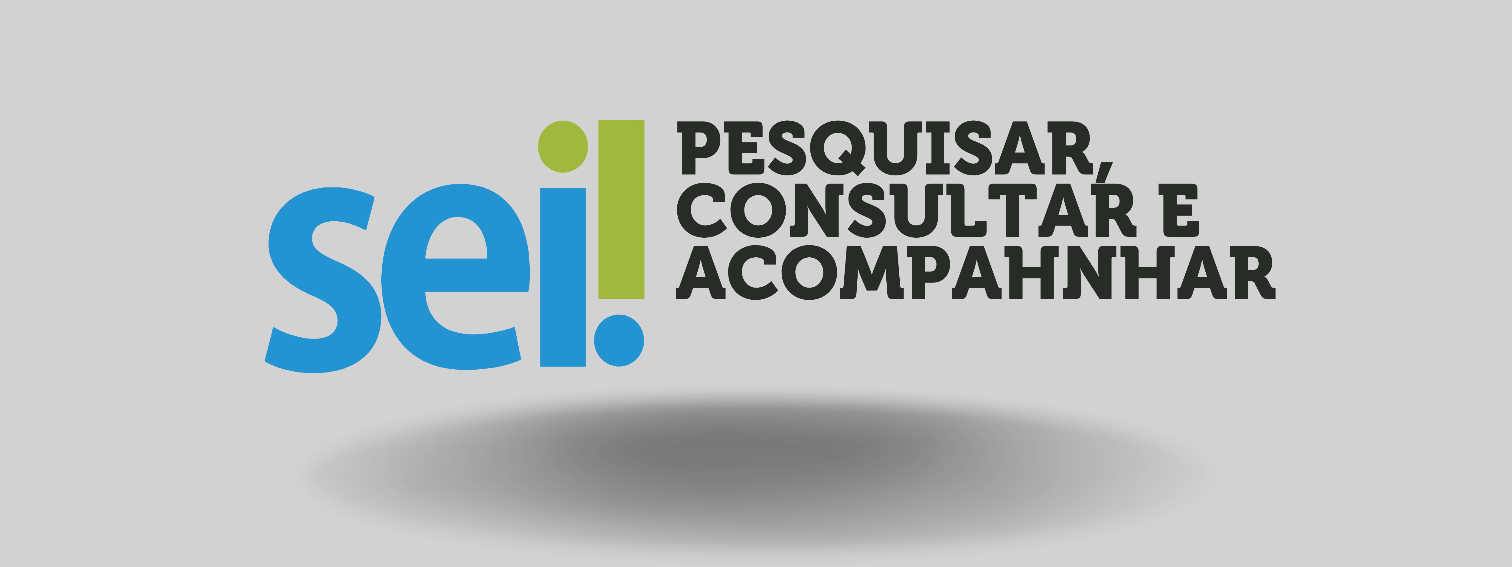 Pesquisa, Consulta e Acompahnhamento especial